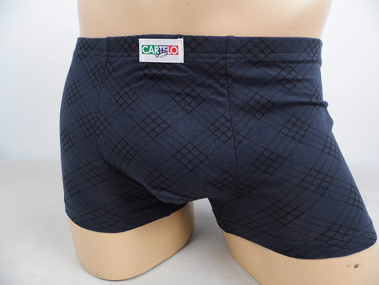 2 gói cotton in quần nam phẳng chân cotton cotton nam đồ lót mùa xuân và mùa hè quần lót hộp quà tặng quần lót nữ thun lạnh siêu mỏng