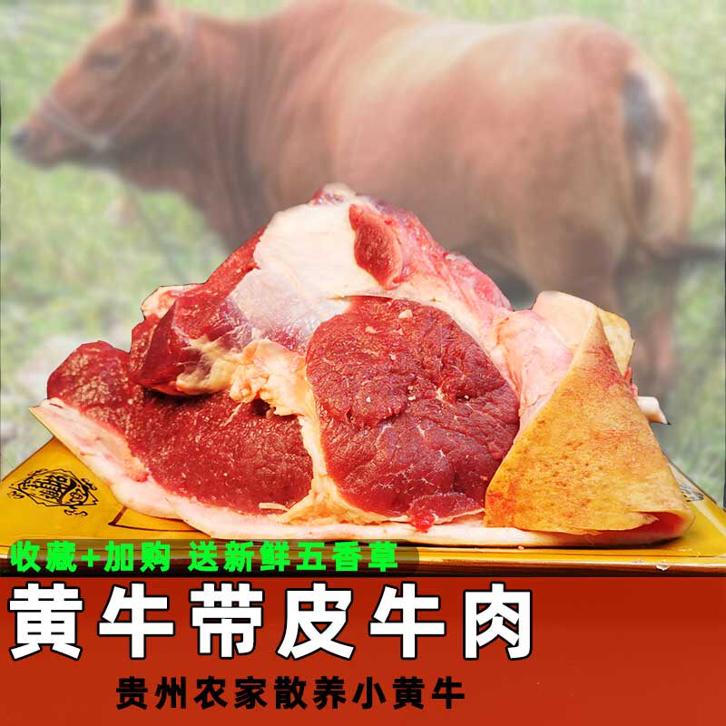 Guizhou Province with leather cow leg meat 2 catty and tender Niu Qiannan farmhouse scattered and raised small scallops with leather fresh grass beef