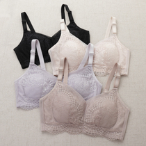  Anti-light bandeau bra womens lace underwear summer thin section gathered without steel rim thin cup large chest small bra