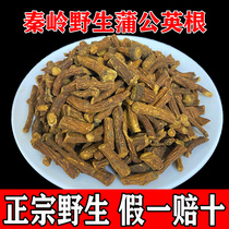 Qinling Wild Dandelion Root 250g T Grade Wild Dandelion Root Tea Chinese Herbal Medicine Fried Bubble Water Tea