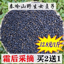 Qinling Mountain wild glossy privet herbal medicine Natural wild glossy privet tea Chinese herbal medicine Mens wine Tongrentang