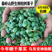 Sundry wild side Berseed Bertree fruits Preaked fruit shell side Bertree seed Cypress Seeds Smoked Cilanto