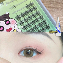 Lazy Man trilogy Fake Eyelash LODO Loo Pocket Single Tuft Eyelash Eyelash Natural Thin-Segmented Little Devil