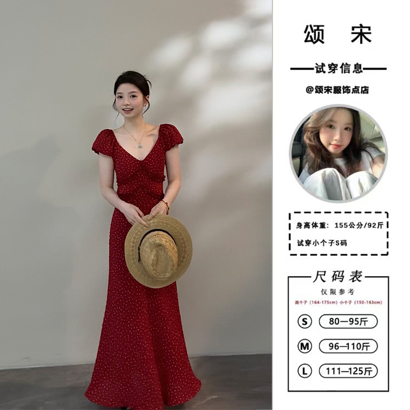 Song Song Summer New Ruffled Puff Sleeve Slimming Dress with Polka Dot Design Long Dress Dt1255