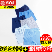 Middle aged and elderly mens underwear high waist cotton boxer 100% cotton boxer pants plus fat big size dad fat guy