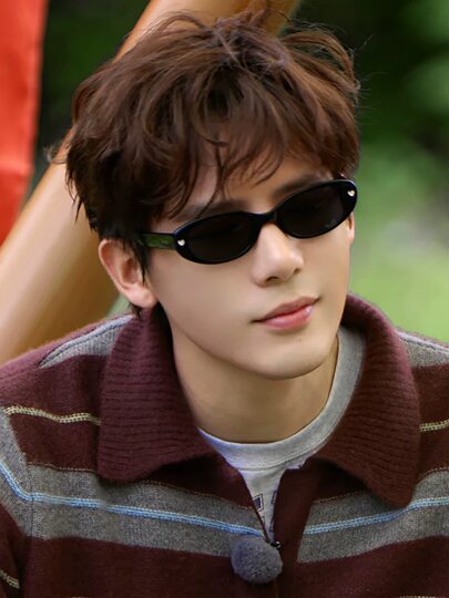 Wang Anyu's Same Style Sunglasses 2026 New Retro Oval Small Frame Stylish Sunglasses for Driving with Uv Protection