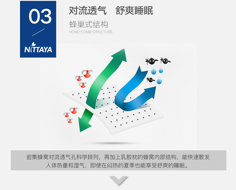 双11家纺第一外国品牌 Nittaya 二代邓禄普工艺 乳胶枕 图5