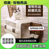 Cat Lexi pet flight box portable box portable cat cage 500 checked box suitcase flight box 600