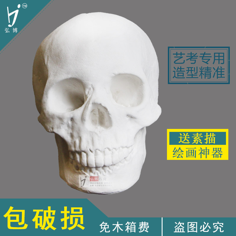 Hongbo Female Skull Skull Gypsum Pixelated Art Teaching Aids Avatar Bust Factory Direct Sales
