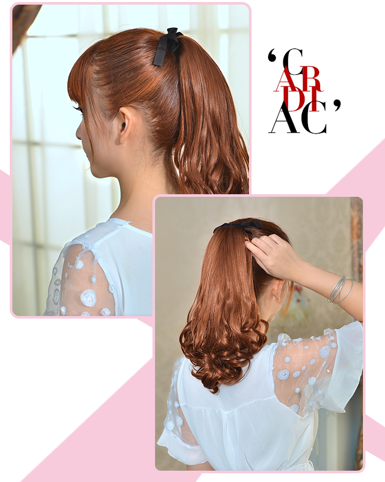 Extension cheveux - Queue de cheval - Ref 252026 Image 15