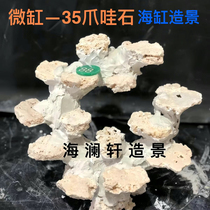 Small sea tank dead stone landscaping Java stone dry rock free algae quick opening fresh sea water coral tank landscaping customization