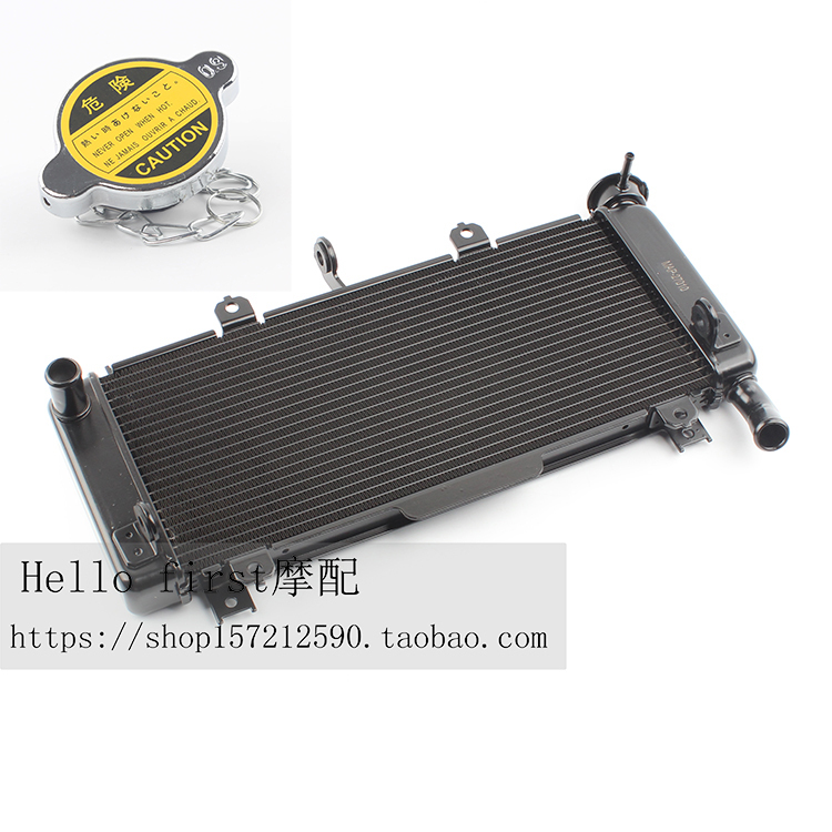 Suitable for Kawasaki Ninja 650 Ninja650 Z650 17-23 Years, Water Tank Assembly, Water Tank Radiator
