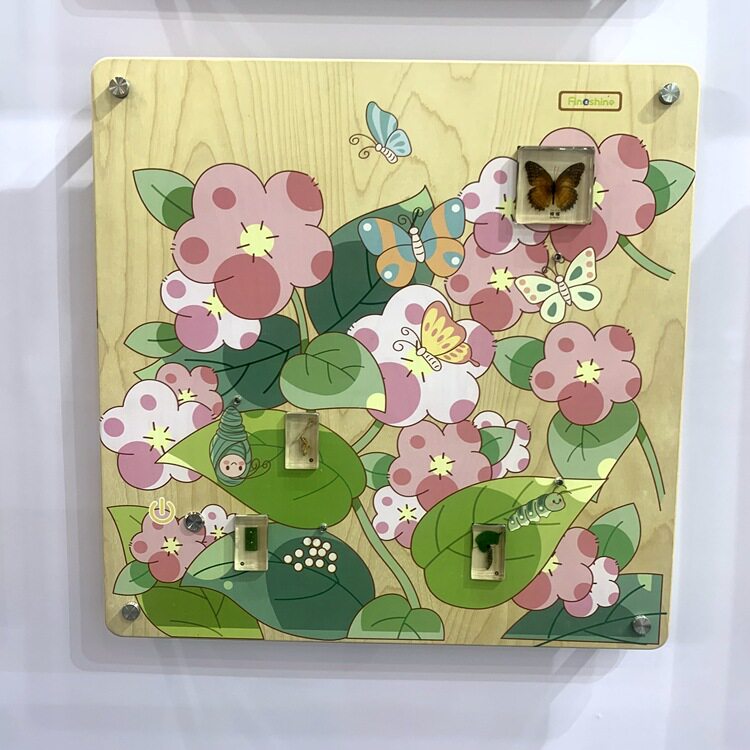 幼儿益智墙面游戏早教墙壁走廊蒙氏玩具科普知识认知板蝴蝶成长史