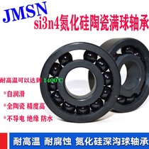 Silicon nitride full ball ceramic bearing 6000 6001 6002 6003 6004 6005 6008 6006CEF