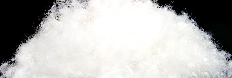 Blouson homme PLAYBOY     - Ref 3122584 Image 13