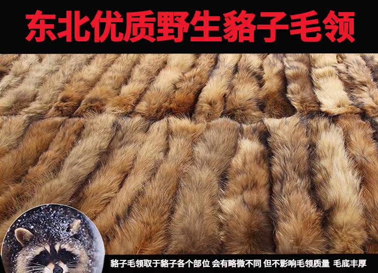 Blouson homme PLAYBOY     - Ref 3122294 Image 11