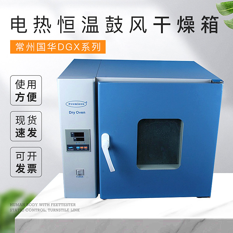 常州国华生产DGX系列电热恒温鼓风干燥箱实验烘干箱烘培烤箱
