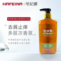 Courtesina Snake Bed Fruit Wash water Hafiina Hafiana Herbal Plant Antiquitum to Cuttings Wash Water Flagship Store