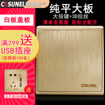 Qisheng switch socket type 86 concealed blank panel whiteboard cover wire box lid flat large board champagne gold
