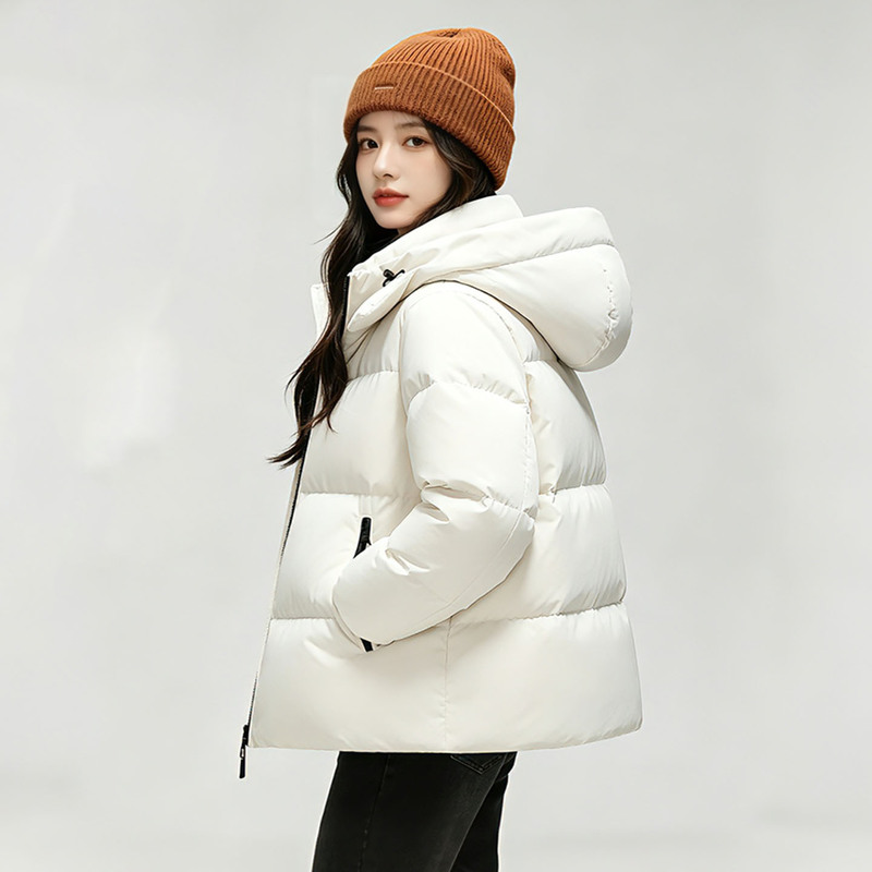 Off-Season Thickened down Jacket with Hood, Stylish Winter 2026 New Model, Short Stand-Up Collar, Detachable Hood, Women's Puffer Coat