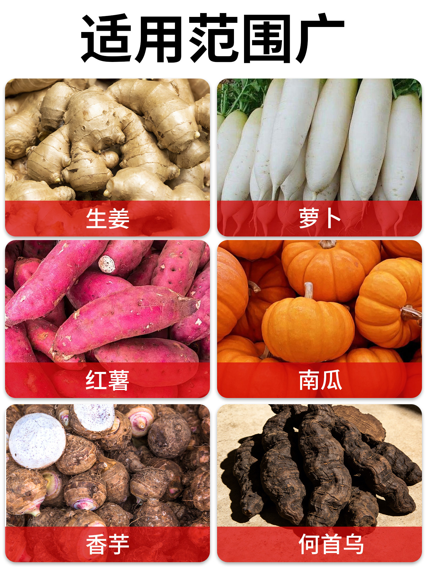 Electric Slicer for Sweet Potatoes, Shredding Machine for Sweet Potatoes, Radish, Potatoes, Papaya, Cassava, Polygonum Multiflorum, Turmeric, and Kaffir Lime