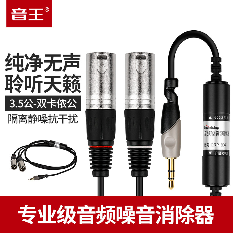 soundking Sound King B37 Audio Noise Remover Anti-interference Silencer 3 5-turn Dual Cannon Public Line