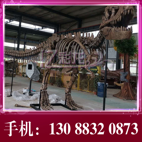 Dinosaur Fossil Model Supersize Bully King Dragon Skeleton Mold Glass Fiber Emulation Museum Indoor Outdoor Pendulum