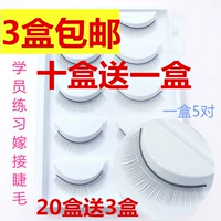 Học sinh thực hành ghép lông mi đặc biệt dụng cụ giảng dạy dụng cụ thực hành lông mi đơn giả đầu đặc biệt kích mí keo