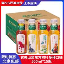 Nongfu Spring Oriental Leaf Green Tea Black Tea Oolong Tea Jasmine Green Orange Puer Xuanmi Tea 500ml * 15 bottles