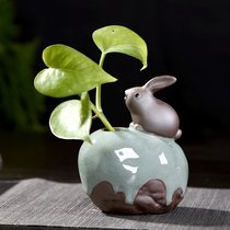 Kuku Kin cute rabbit tea pet widget mini frog hydro flower boutique purple sand tea accessories can be opened