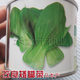 Shanghai green rapeseed seeds, vegetable seeds, chicken feathers, green vegetables, cabbage, four seasons, autumn and winter.