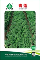 Зеленый лотос Юйи Семя капуста 100 графическая гравика