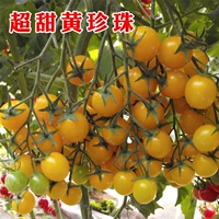 Супер сладкий желтый жемчужный томат 20 капсулы