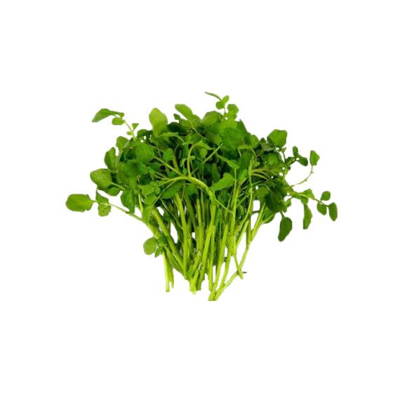 Watercress seeds, watercress seeds, green vegetables, spring and summer potted water mustard, wild vegetables, autumn and winter potted plants.