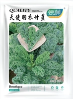 Ангельские перья капуста капуста 20 зерна зеленых голландских семян