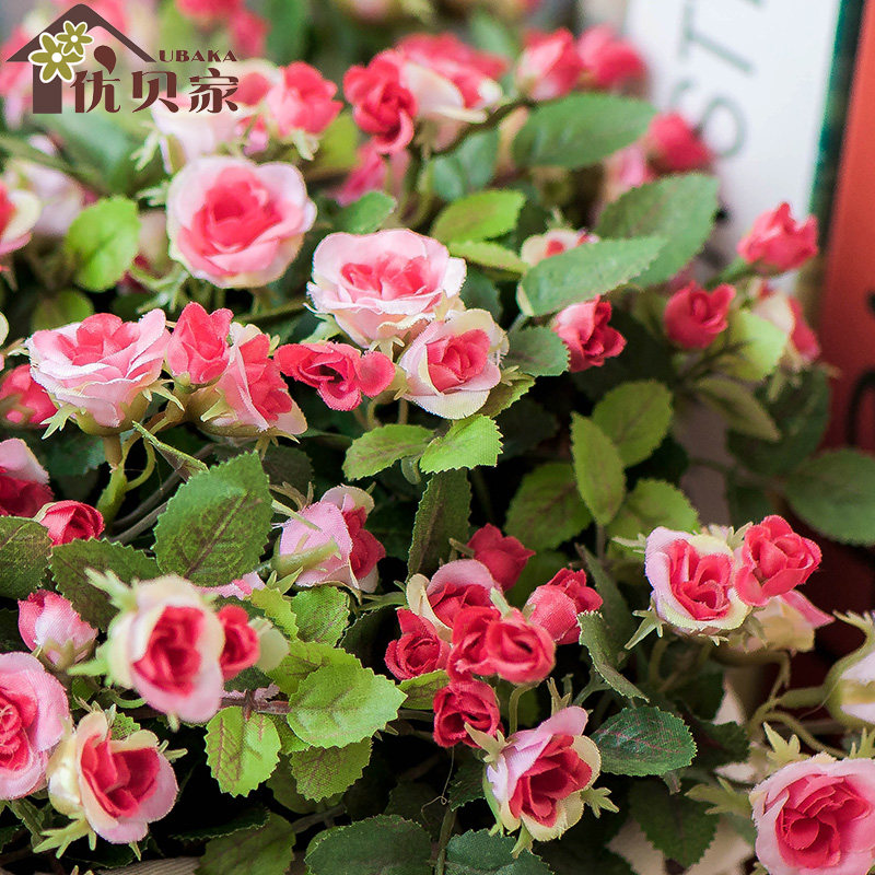 �ű���ŷʽ��԰޹�²��ٱ໨��