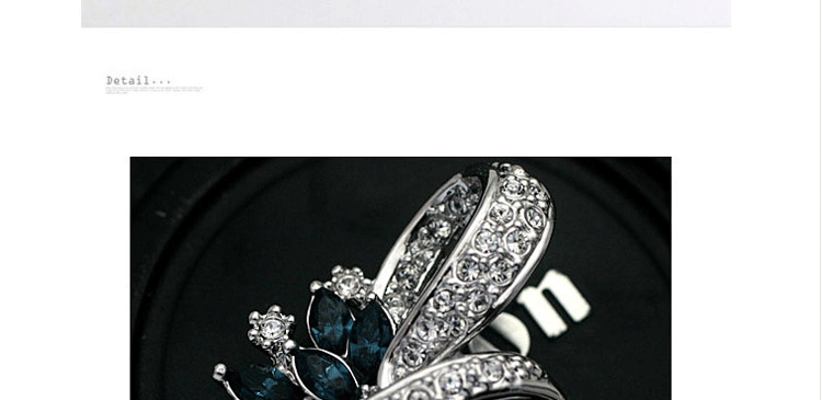 Broche femme en cristal autrichien - Ref 1178504 Image 16