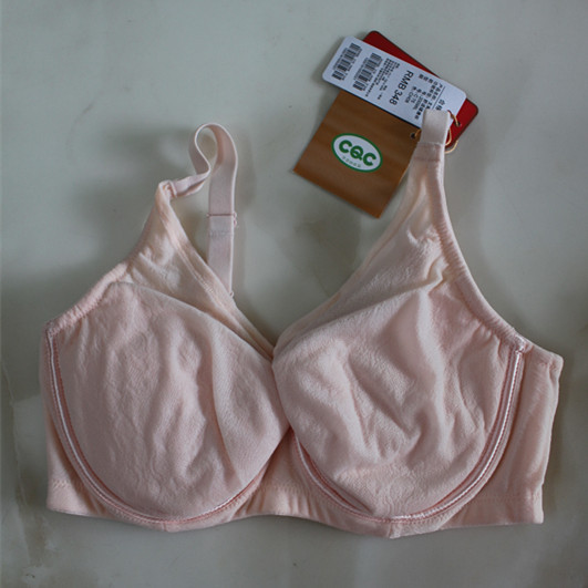 Jia Li Shi Clearance Diana Large Bust Minimizing Bra Authentic 20098L Thin Plus Size Full Coverage Bra