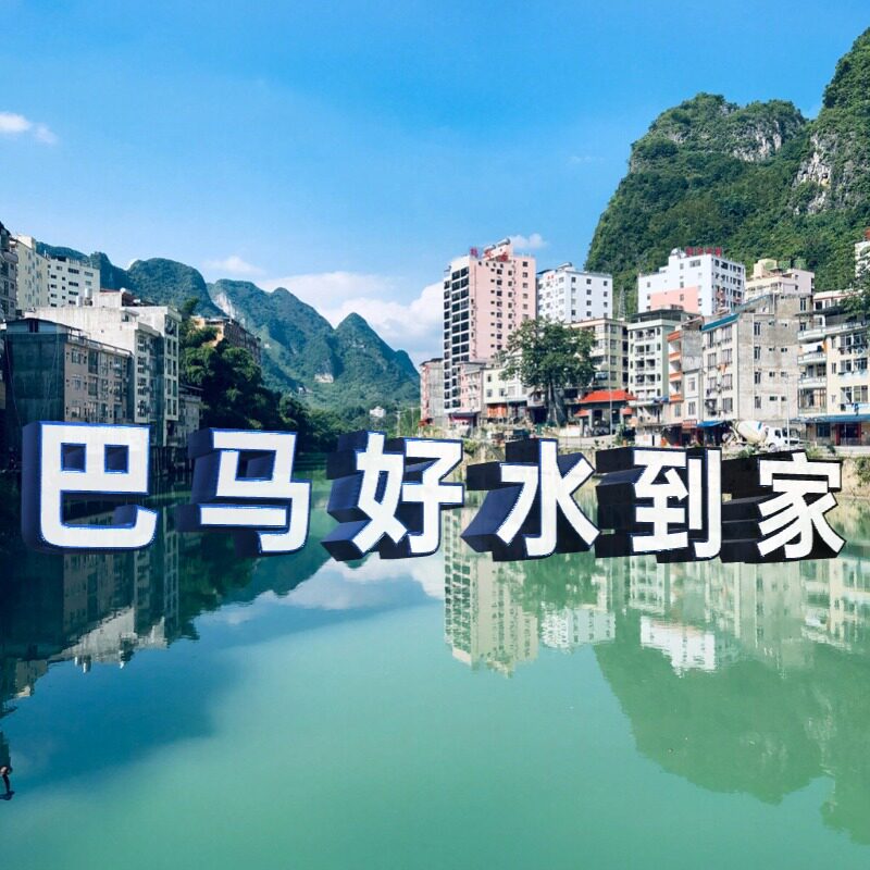巴马好水到家的LOGO