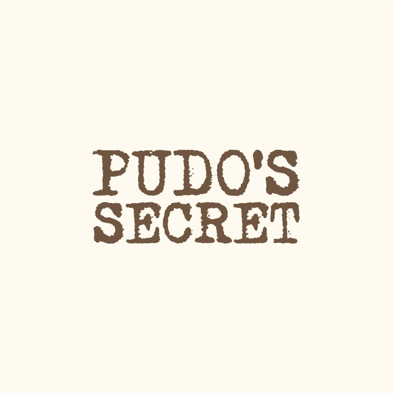 Pudo Secret