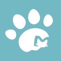 Cute claw doctor difference freight special shot