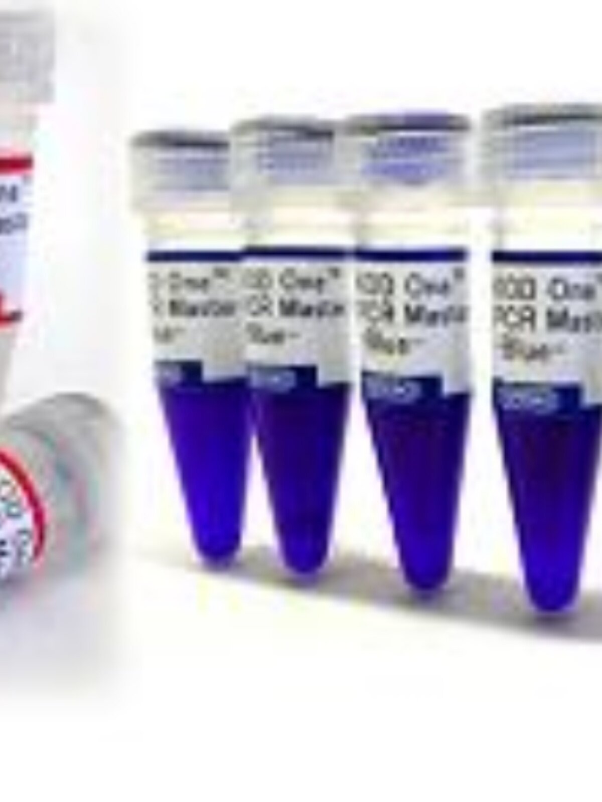 东洋纺 Toyobo KOD One PCR Master Mix （blue染料）KMM-201