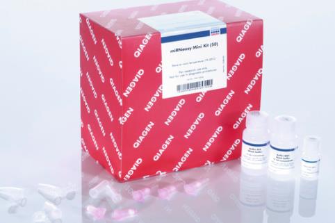 Qiagen 217004 miRNeasy 试剂盒 难裂解动物组织和细胞RNA提取