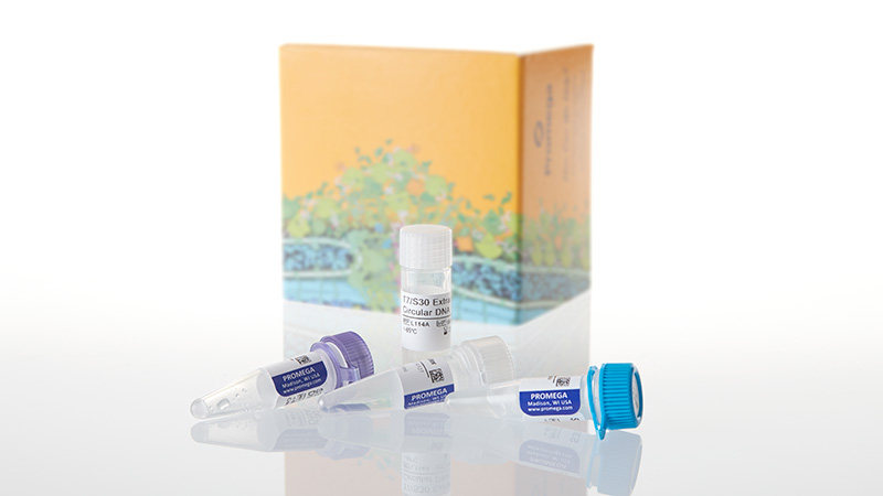 Promega S30 T7蛋白表达 High-Yield Protein Expression L1110