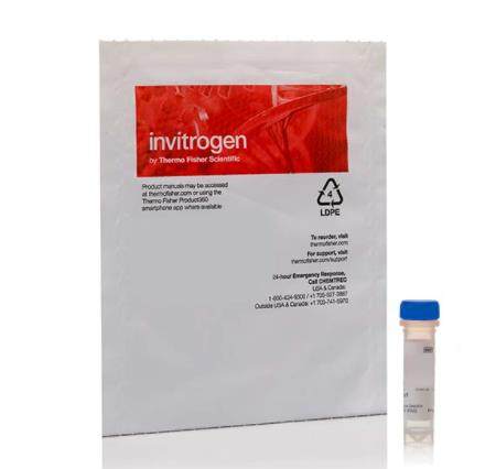 Invitrogen HCS LipidTOX绿色磷脂沉积检测试剂 ，用于细胞成像