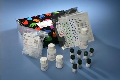 源叶 高密度脂蛋白 HDL 2mg