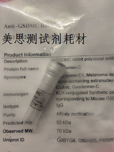 赛维尔  兔多克隆一抗GSDMC (human 大鼠 小鼠）应用WB 100ul