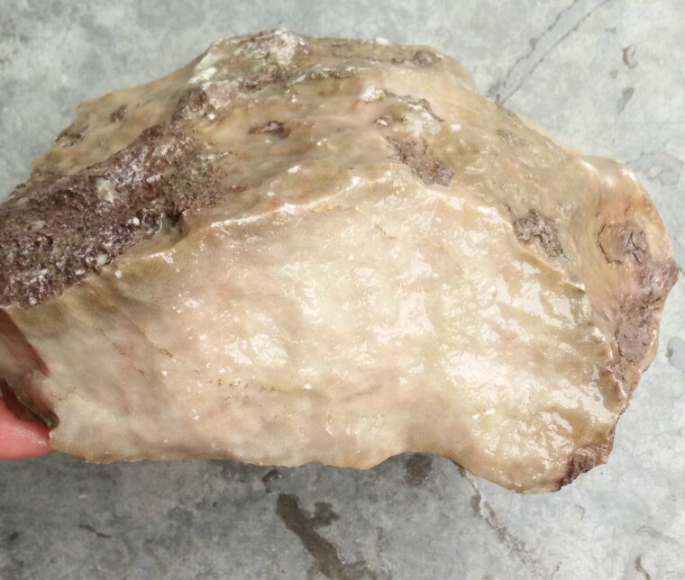 Ningqiang coral jade fossil powder flesh-colored hand fingerprint fine grain fine material strange stone carving material boutique low-cost treatment L