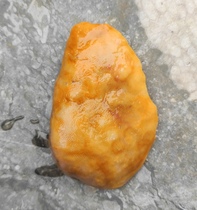 Ning Qiang Chi Stone Coral Jade Chicken Oil Yellow White Natural to Play Handmade with Finger Tattooing-shaped Bio-Fossil Original Stone