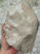 Ningqiang coral jade small star dots fine lines gray and white strange stone small fossil raw stone natural low price processing clearance L